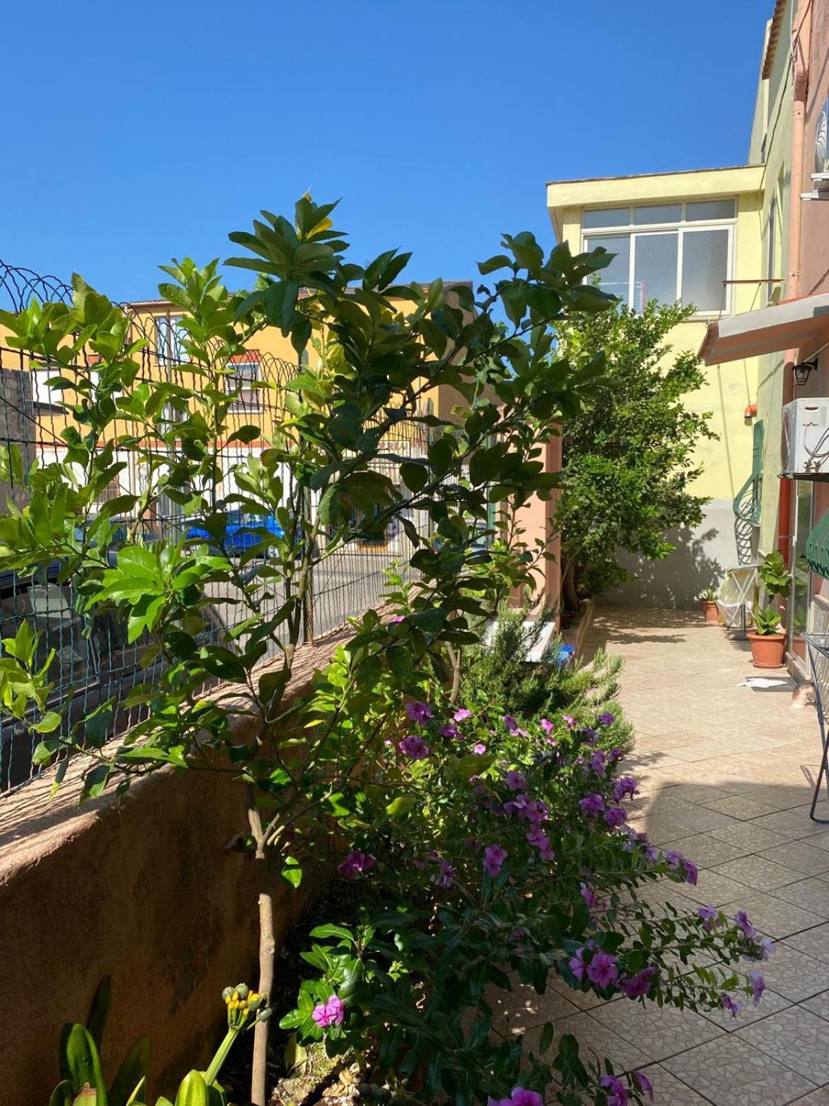 Lemon House Apartment Sassari Exterior photo